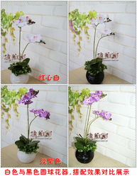 仿真花 包邮精品与批发指南——以仿真蝴蝶兰套装为例